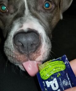 Van Holten's Pickles - Pickle-Ice Freeze Pops - 8 Pack 17 713P52JmhfL