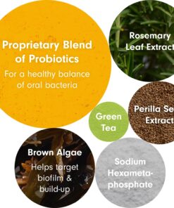 PetLab Co. ProBright Dental Powder for Dogs - Tailored Teeth Cleaning Made Easy – Formula Tailored for Small-Sized Dogs Small Dogs 19 713QSQbpodL