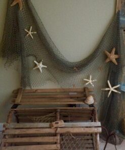 U.S. Shell, Inc. Starfish Mix 28 713QrNp8JzL