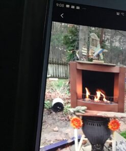 Real Flame Gel Fuel Cans - 12-Pack - Gelled Isopropyl Alcohol for Indoor or Outdoor Fireplaces 39 713RB 6gw4L