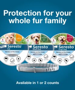 Seresto Cat Vet-Recommended Flea & Tick Treatment & Prevention Collar for Cats | 8 Months Protection 1 Pack Cat Only 30 713S8ylo cL