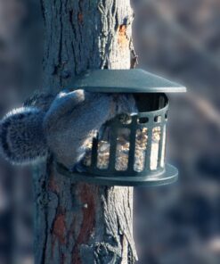 Woodlink Squirrel Diner Feeder Model 75590 beige 28 713TTxAMqaL