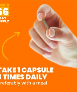 Sundown Cinnamon Capsules, Support Sugar Metabolism, Non-GMO, Free of Gluten, Dairy, Artificial Flavors, 1000 mg, 200 Capsules 11 713TeYBrlJL