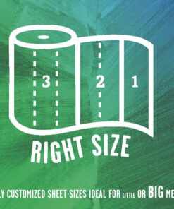 Seventh Generation Paper Towels, 100% Recycled Paper, 2-Ply, 6 Roll, 6 Count (Pack of 2) 6 Count (Pack of 2) 11 713TusByzbL