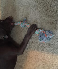 Mammoth Flossy Chews Color Rope Tug – Premium Cotton-Poly Tug Toy for Dogs – Interactive Dog Rope Toy – Tug Dog Chew Toy Large 25" 3 Knot 32 713XEmIP5SL