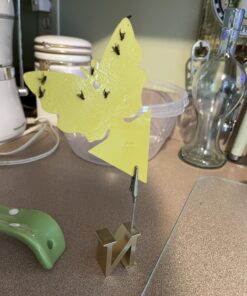 Trappify Sticky Gnat Traps for House Indoor - Yellow Fruit Fly Traps for Indoors/Outdoor Plant - Insect Catcher White Flies, Mosquitos, Fungus Gnat Trap, Flying Insects - Disposable Glue Trapper (12) 12 40 713ZXsBkVL