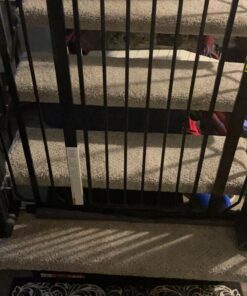 Regalo Easy Step Extra Tall Walk Thru Baby Gate, Bonus Kit, Includes 4-Inch Extension Kit, Pressure Mount Kit and Wall Cups and Mounting Kit, Black, 4 Count (Pack of 1) 19 713cBTj ORL