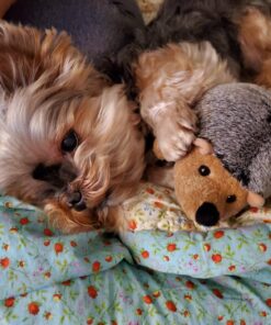 Aurora® Adorable Mini Flopsie™ Howie™ Stuffed Animal - Playful Ease - Timeless Companions - Brown 8 Inches 6 713cyz93yBL