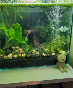 Seachem Indoor Purigen Organic Filtration Resin - Fresh and Saltwater 100 ml 32 713giZeM4eL