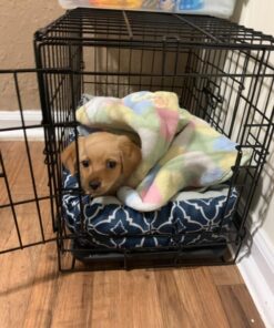 Dog Crates for Small Dogs - Dog Crate 20" Pet Cage Single-Door Best for Puppy & Kitten Pets - Wire Metal Kennel Cages with Tray - in-Door Foldable & Portable for Animal Out-Door Travel 20.0"L x 13.0"W x 16.0"H 40 713iEgYLQ9L 2