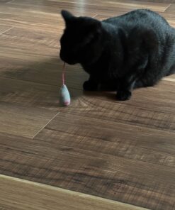 SmartyKat (3 Count) Skitter Critters Catnip Cat Toys - Gray/Cream, 3 Count Set of 3 Skitter Critter Mouse 29 713imuqBEIL