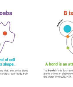 ABCs of Science: The Essential ABC Board Book of First STEM Words from the #1 Science Author for Kids (Science Gifts for Kids) (Baby University) 18 713iqQqg2cL