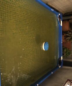 INTEX C530 Krystal Clear Cartridge Filter Pump for Above Ground Pools: 530 GPH Pump Flow Rate – Improved Circulation and Filtration – Easy Installation – Improved Water Clarity – Easy-to-Clean 530 Gallons Per Hour 21 713ivCGuiTL