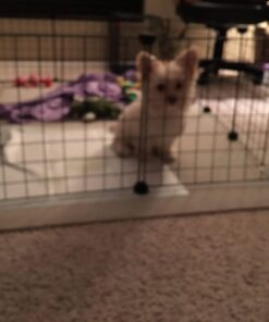 Dog Crates for Small Dogs - Dog Crate 20" Pet Cage Single-Door Best for Puppy & Kitten Pets - Wire Metal Kennel Cages with Tray - in-Door Foldable & Portable for Animal Out-Door Travel 20.0"L x 13.0"W x 16.0"H 30 713otbYRnhL 2
