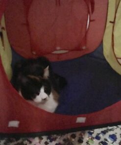 Kiddey Tunnel and Ball Pit Play Tent | 3pc Pop Up Toddler Gym Tunnels with Tents for Kids, Toddlers, Infants Boys & Girls | Indoor & Outdoor Gift Game | Baby Crawling Pits for Playground 3 Pc. Play Tent 28 713pwA amyL