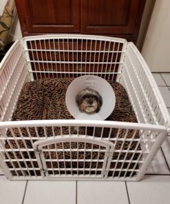 IRIS USA 24-inch Exercise 4-Panel Pet Playpen with Door, White 4 Panel w/ door 47 713wRtZcLL