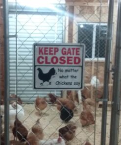 Signs Up Keep Gate Closed, No Matter What The Chickens Say 9 713xz PuyIL