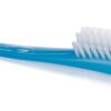 Philips AVENT BPA Free Bottle Brush, Blue