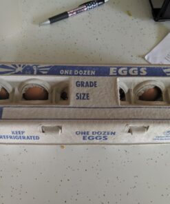 Egg Cartons - 250 Count 10 714 Q67facL