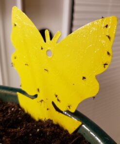 Trappify Sticky Gnat Traps for House Indoor - Yellow Fruit Fly Traps for Indoors/Outdoor Plant - Insect Catcher White Flies, Mosquitos, Fungus Gnat Trap, Flying Insects - Disposable Glue Trapper (12) 12 58 7140BVPOm9L