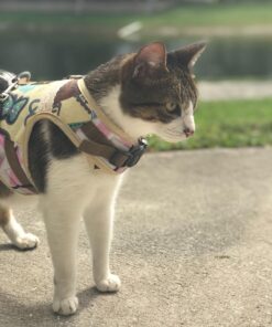 JETech Case for iPhone 8 Plus and iPhone 7 Plus 5.5-Inch, Non-Yellowing Shockproof Phone Bumper Cover, Anti-Scratch Clear Back (Clear) 43 7140TmjGJfL