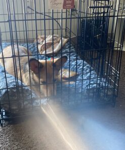 MidWest Homes for Pets Dog Crate Life Stages 36' Double Door Folding Metal Dog Crate | Divider Panel, Floor Protecting Feet, Leak-Proof Dog Pan | 35.63 in x 24.45 in x 21.93 in ,Intermediate Dog Breed 36.0"L x 23.0"W x 25.0"H Lifestages; Double Door 43 71415MCriTL