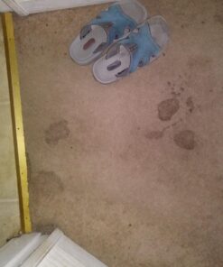 Clean-eez Stain-eez Carpet Cleaner Spray – Pro-Biotics & Enzyme Power for Ultimate Stain & Odor Elimination – Best Pet Carpet Cleaner Single Bottle 21 71419EZwCxL