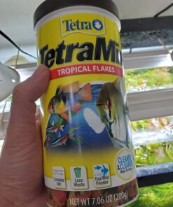 Tetra 16106 Min Tropical Flakes, Nutritionally Balanced Fish Food, 7.06-Ounce 7.06-ounce (Pack of 1) 36 7142R8PyN0L