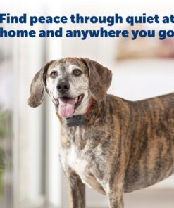 PetSafe Basic Bark Control Collar for Dogs 8 lb. and Up, Anti-Bark Training Device, Waterproof, Static Correction, Canine - Automatic Dog Training Collar to Decrease Barking, PBC-102 25 7143YmhZdyL