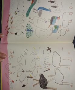 How to Draw Almost Everything: An Illustrated Sourcebook 11 7144YGCE8yL