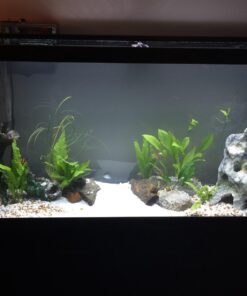 Penn-Plax Cascade All-in-One Aquarium Canister Filter – for Tanks Up to 100 Gallons (265 GPH) – Cascade 1000 Cascade-1000 70 7144ZFiV5aL