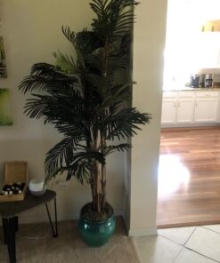 Nearly Natural 5284 Robellini Palm Silk Tree, 6-Feet, Green 72in. 17 7147ztBRXDL
