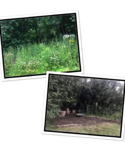 Japanese Weeding Sickle Very Sharp Edge Quick Work (Full Size) 24 7149F7fdtkL