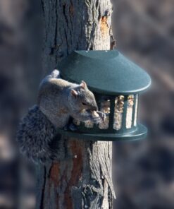 Woodlink Squirrel Diner Feeder Model 75590 beige 26 7149Vxi2qcL