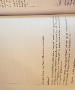 Hands-On Machine Learning with Scikit-Learn and TensorFlow: Concepts, Tools, and Techniques to Build Intelligent Systems 13 714AldgczNL