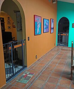 Regalo Home Accents Extra Tall & Wide Baby Gate, Bonus Kit, Includes Décor Steel With Hardwood, 4" Extension Kit, 4 Pack Pressure Mount Kit & Wall Cups 37 Inch Tall 30 714Az4GwvmL