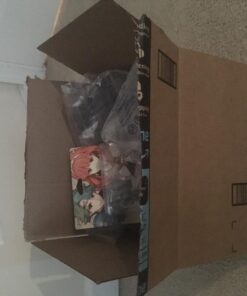 Nintendo Alm & Celica amiibo 2-Pack - Nintendo 3DS 7 714DragQjmL