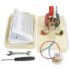 American Educational 7-1847 Miniature Motor Model, 5-1/2"Length x 3-1/2" Width x 4-1/4" Height 28 714EMqlUQ5L