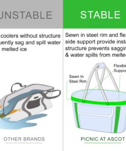 Picnic at Ascot Patented Insulated Folding Picnic Basket Cooler- Designed & Quality Approved in the USA Trellis Blue 12 714GOM7bdSL