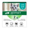Advantage II Kitten Vet-Recommended Flea Treatment & Prevention | Cats 2-5 lbs. | 2-Month Supply 15 714GXAJ6O4L