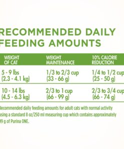 Purina ONE Natural, Low Fat, Weight Control, Indoor Dry Cat Food, +Plus Indoor Advantage - 7 lb. Bag Turkey 7.00 Pound (Pack of 1) 20 714IwxM7BLS 2