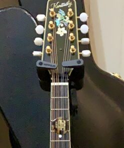 Golden Gate MP-12 Guitar Picks (GGMP-12) Rounded Triangle 8 714KKdXvxvL