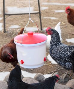 Alternative view of Farm Innovators HB-60P Thermostatically Controlled Heated 2 Gallon Plastic Outdoor Year Round Poultry Chicken Water Bucket Drinker, White/Red Single