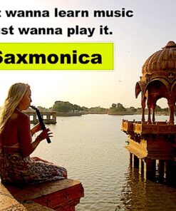 Sax on the go, Saxophone/Harmonica hybrid | Saxmonica pocket-sized acoustic reed based music instrument 16 714Kkl VRL