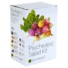 Plant Theatre Psychedelic Vegetable Garden Starter Kit - Grow Kit with 5 Unique Types of Vegetable Seeds, Pots, Peat Discs, and More - Complete Seed Starter Kit for Outdoor or Indoor Garden Psychedelic Salad 58 714NE9RAitL