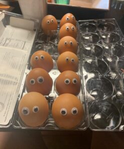 1210pcs Googly Wiggle Eyes Self Adhesive, for Craft Sticker Multi Sizes 4mm to 25mm for DIY by ZZYI 1210pcs 21 714Nji0bbHL