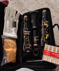 Glory GLY-PBK Professional Ebonite Bb Clarinet with 10 Reeds, Stand, Hard Case, Cleaning Cloth, Cork Grease, Mouthpiece Brush and Pad Brush, Black Black/Silver 31 714NpNiJ5zL