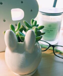 MyGift Mini Ceramic Bunny Planter, Decorative Rabbit Design White Small Flower Pot Succulent Planter with Detached Saucer 31 714NzaT2k8L