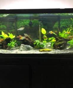 Seachem 20111 Neutral Regulator, 500g/1 lb 15 714Ox3wUS7L