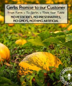 GERBS Unsalted Jumbo Whole Pumpkin Seeds, 32 ounce Bag, Roasted, Top 14 Food Allergy Free, Non GMO, Vegan, Keto, Paleo Friendly Jumbo Unsalted 2 Pound (Pack of 1) 12 714PFpo56pL 1